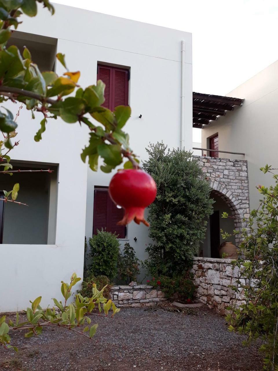 Vilana Studios Kalamos  Exterior foto